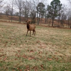 Meet your Posher, Alberta
